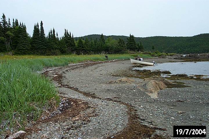 The shore at Biche Arm East.